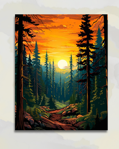 Coucher de Soleil sur la Forêt de Pins