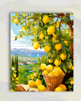 Récolte de Citrons sur la Riviera